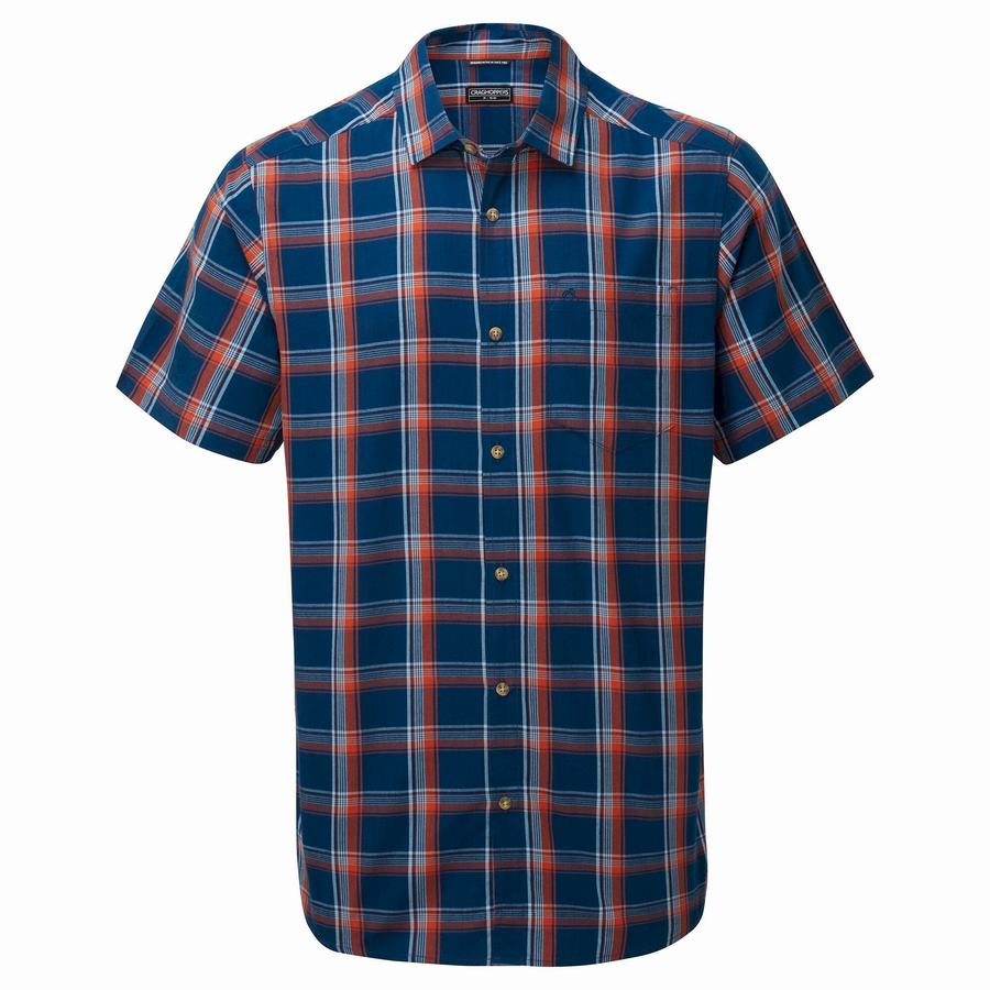 Navy Blue Craghoppers Rafie Short Sleeved Check Men's Shirts | KXL2171XY