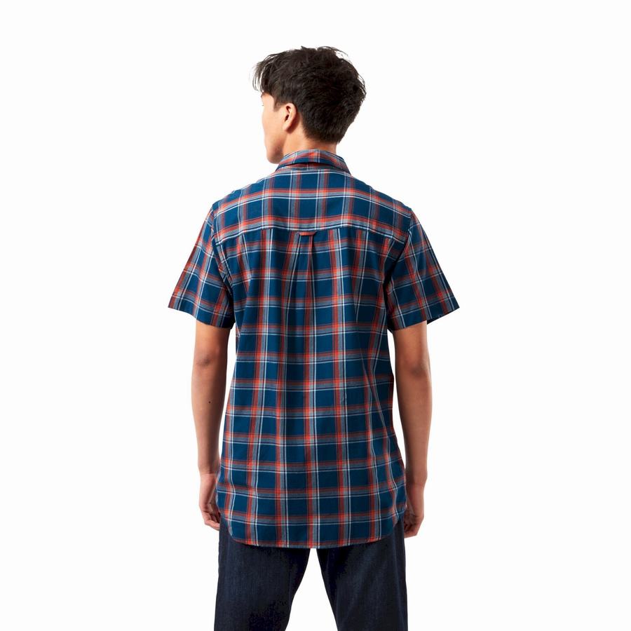 Navy Blue Craghoppers Rafie Short Sleeved Check Men's Shirts | KXL2171XY