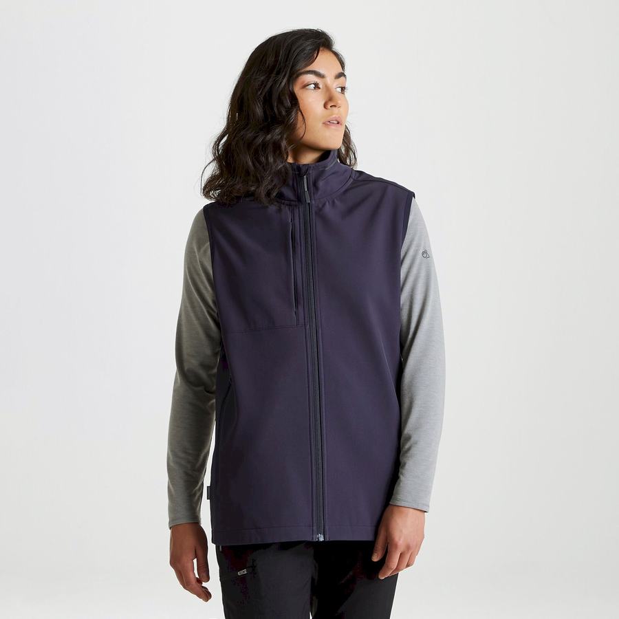 Navy Craghoppers Expert Basecamp Softshell Vest Men's Gilets | GDJ6545AB