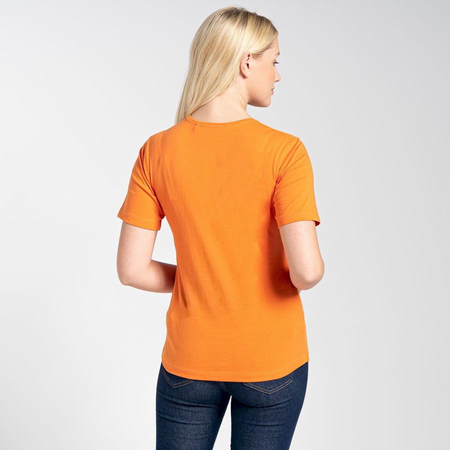 Orange Craghoppers Ally Short Sleeved Women's T-Shirts | ICK8292EE