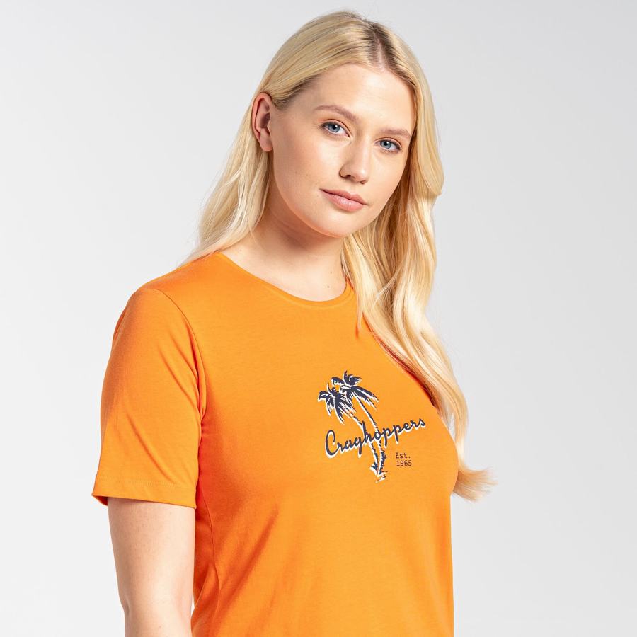 Orange Craghoppers Ally Short Sleeved Women's T-Shirts | ICK8292EE