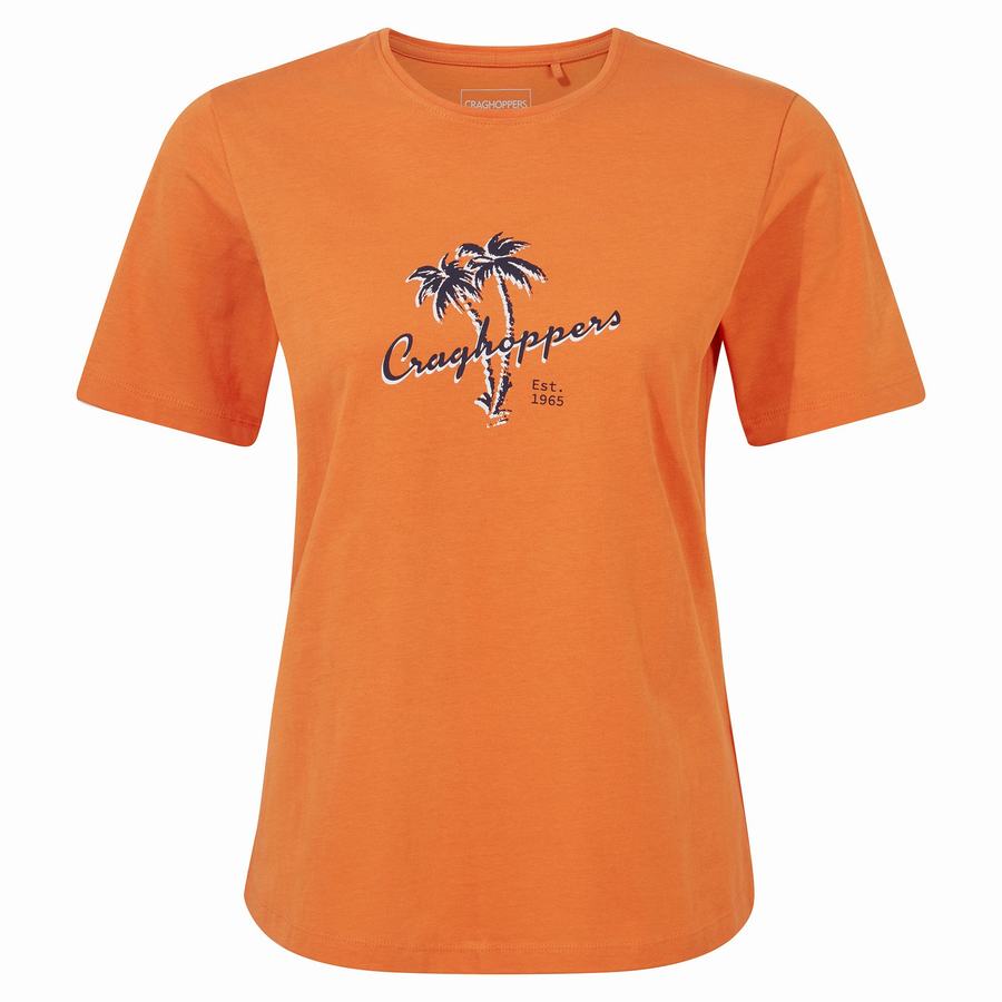 Orange Craghoppers Ally Short Sleeved Women's T-Shirts | ICK8292EE