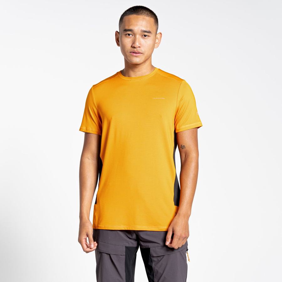 Orange Craghoppers Atmos Short Sleeved Men's T-Shirts | NPU4084RJ