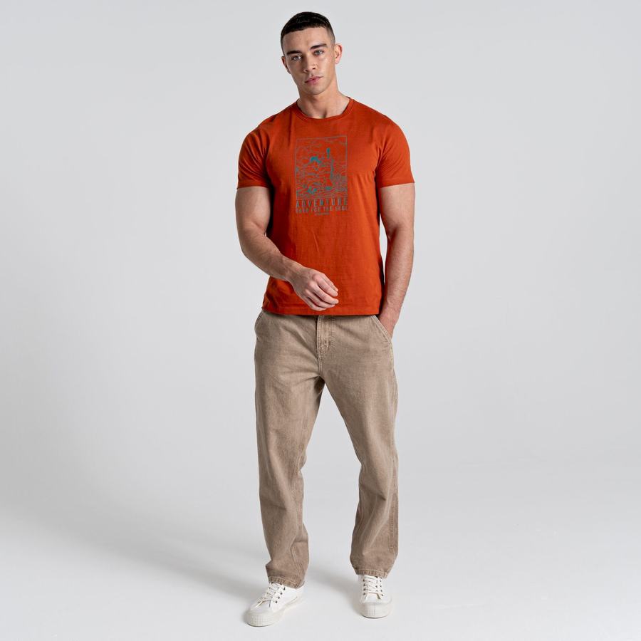 Orange Craghoppers Caldo Short Sleeved Men's T-Shirts | CBC7037WG