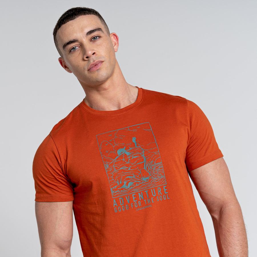 Orange Craghoppers Caldo Short Sleeved Men's T-Shirts | CBC7037WG