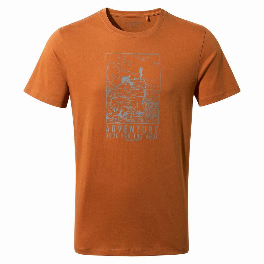 Orange Craghoppers Caldo Short Sleeved Men's T-Shirts | CBC7037WG