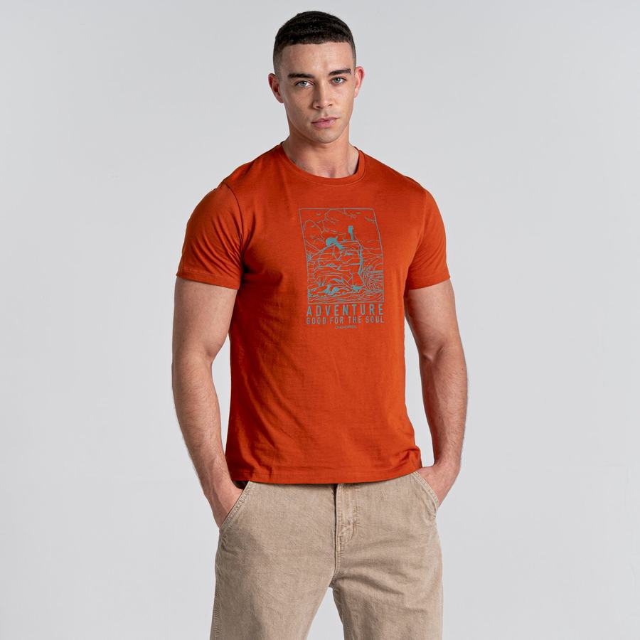 Orange Craghoppers Caldo Short Sleeved Men's T-Shirts | CBC7037WG