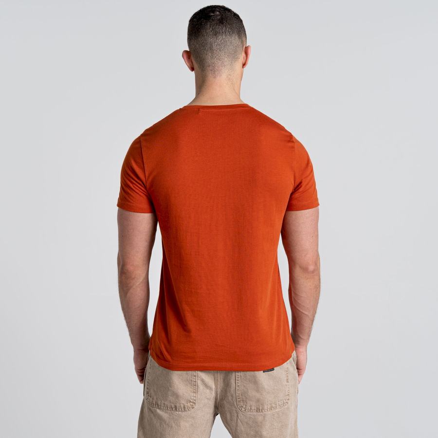 Orange Craghoppers Caldo Short Sleeved Men's T-Shirts | CBC7037WG