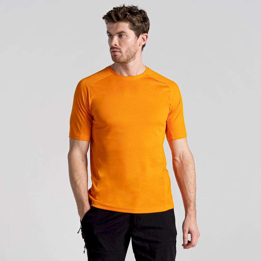 Orange Craghoppers Dynamic Pro Short Sleeved Men's T-Shirts | VRV9979IJ