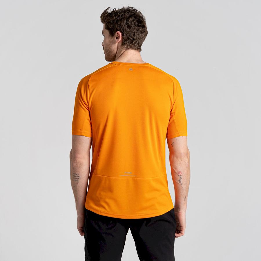 Orange Craghoppers Dynamic Pro Short Sleeved Men's T-Shirts | VRV9979IJ