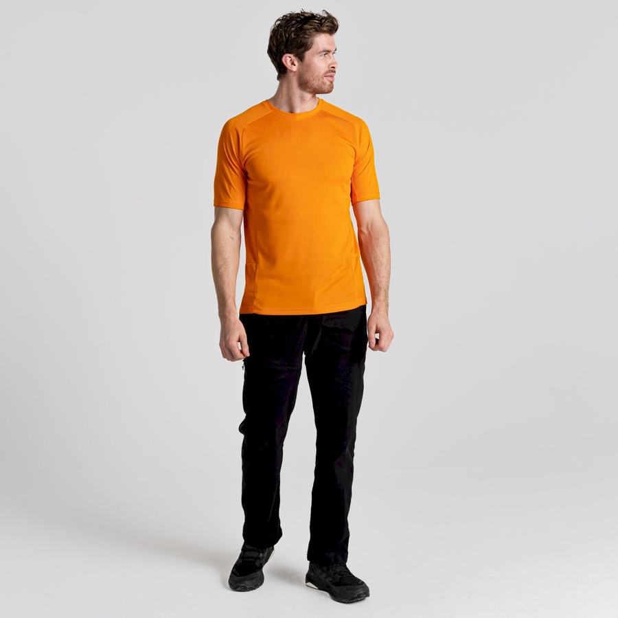 Orange Craghoppers Dynamic Pro Short Sleeved Men's T-Shirts | VRV9979IJ