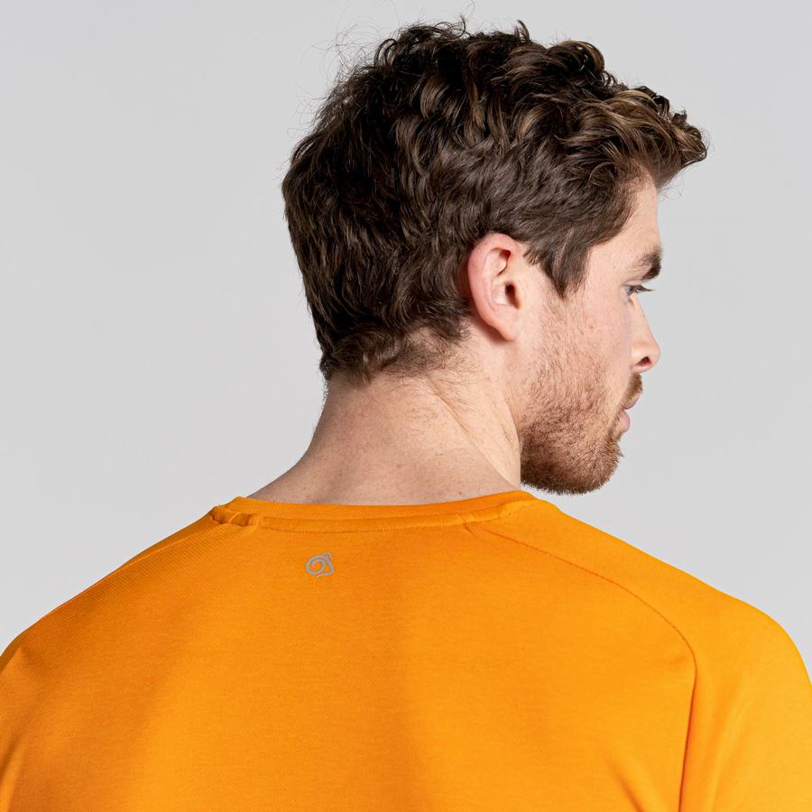 Orange Craghoppers Dynamic Pro Short Sleeved Men's T-Shirts | VRV9979IJ