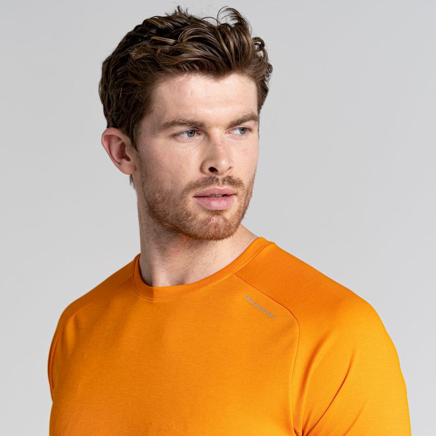 Orange Craghoppers Dynamic Pro Short Sleeved Men's T-Shirts | VRV9979IJ