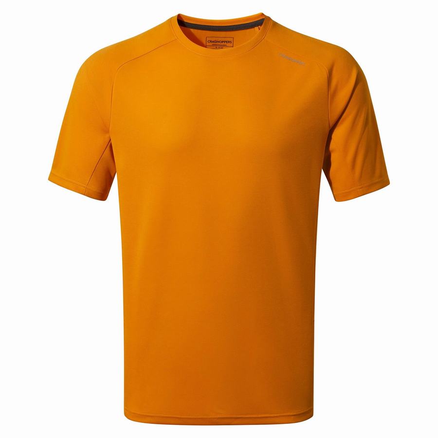 Orange Craghoppers Dynamic Pro Short Sleeved Men's T-Shirts | VRV9979IJ