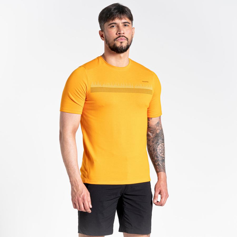 Orange Craghoppers Dynamic Short Sleeved Men's T-Shirts | FBA56IC