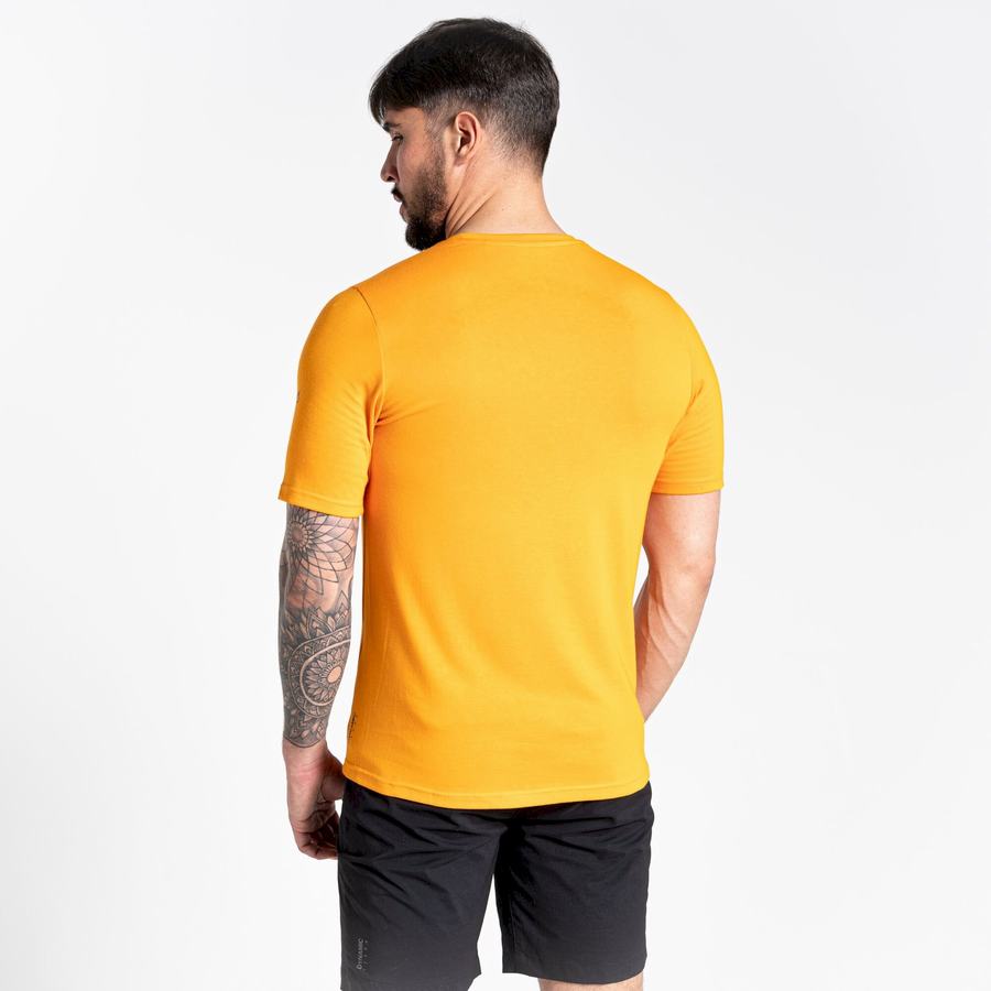 Orange Craghoppers Dynamic Short Sleeved Men's T-Shirts | FBA56IC