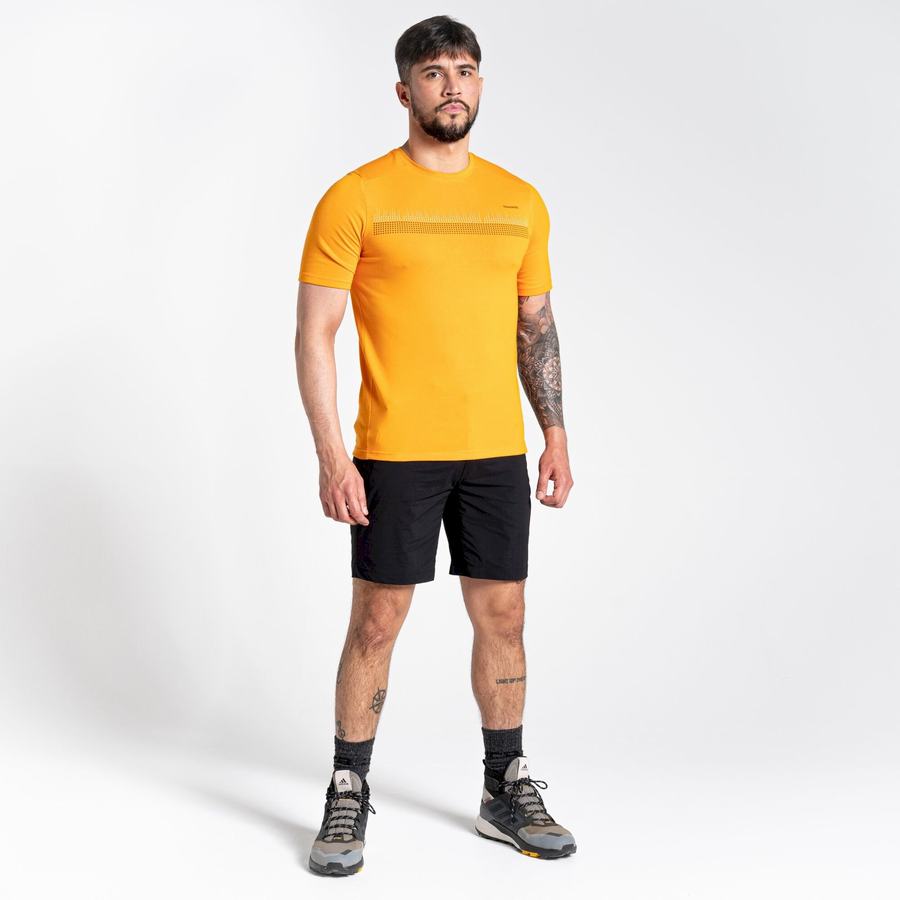 Orange Craghoppers Dynamic Short Sleeved Men's T-Shirts | FBA56IC