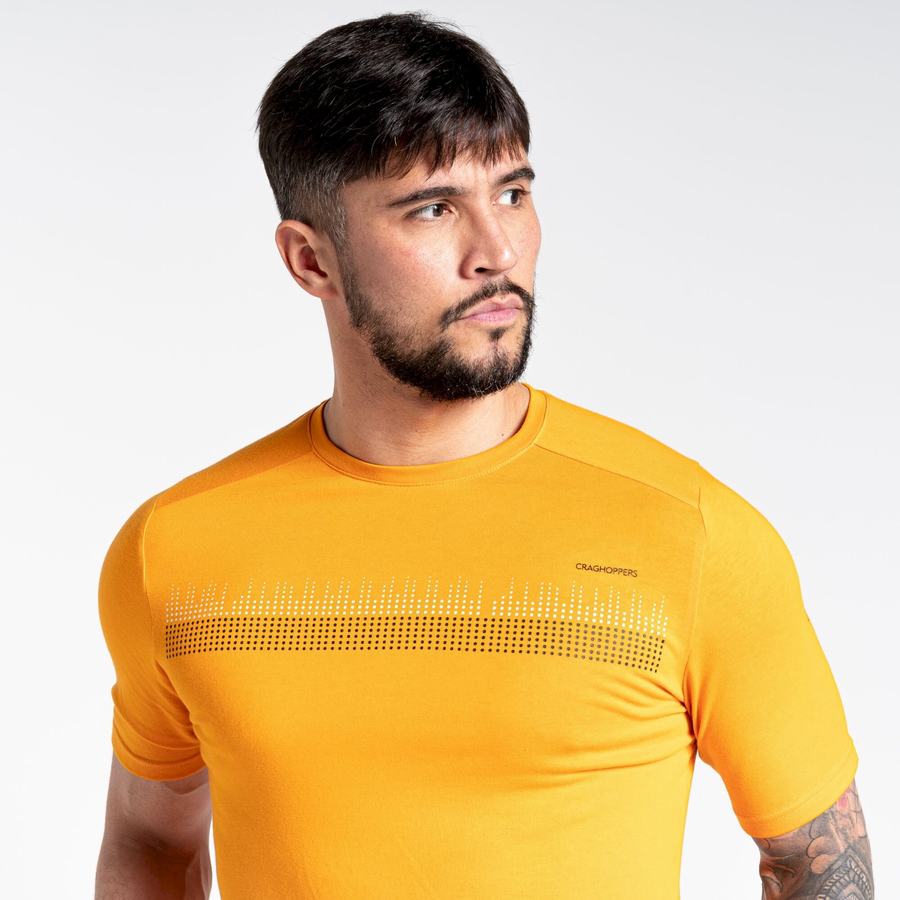 Orange Craghoppers Dynamic Short Sleeved Men's T-Shirts | FBA56IC