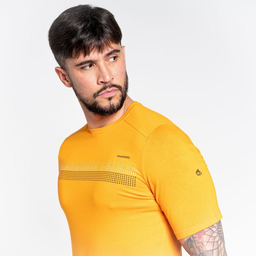 Orange Craghoppers Dynamic Short Sleeved Men's T-Shirts | FBA56IC