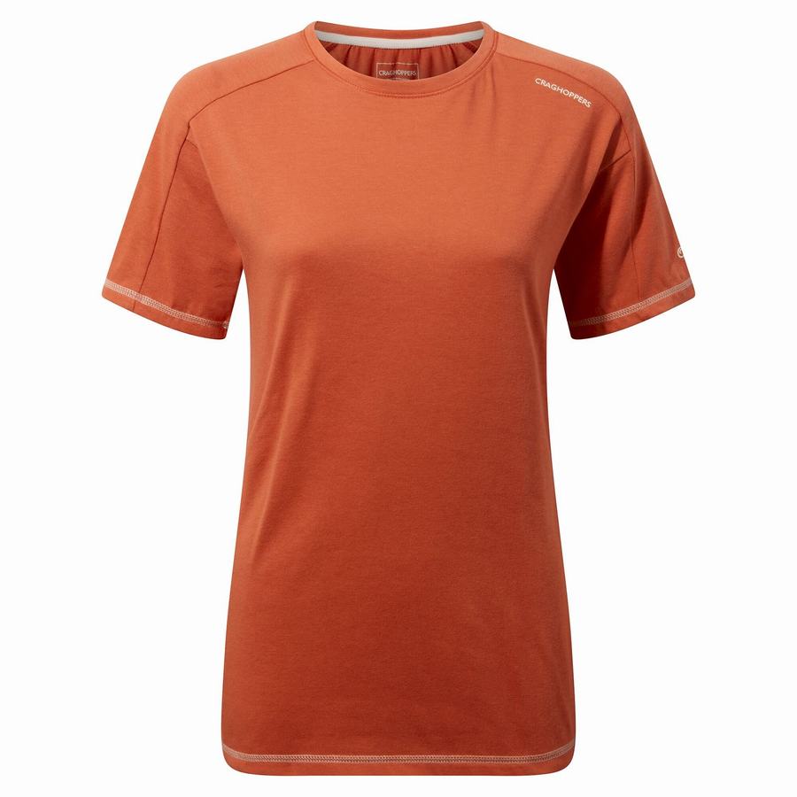 Orange Craghoppers Dynamic Short Sleeved Warm Ginger Women's T-Shirts | TXF747TJ