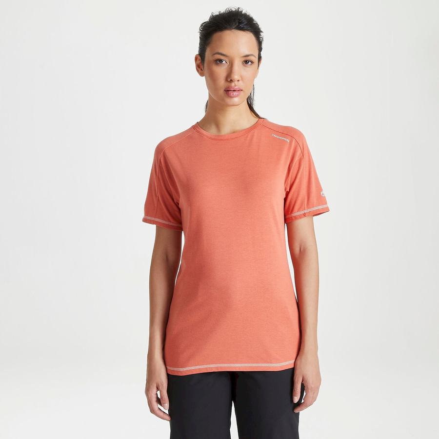 Orange Craghoppers Dynamic Short Sleeved Warm Ginger Women's T-Shirts | TXF747TJ