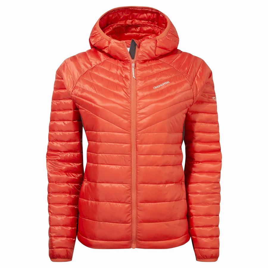 Orange Craghoppers ExpoLite Insulated Hooded Women\'s Jackets | NST7637NJ