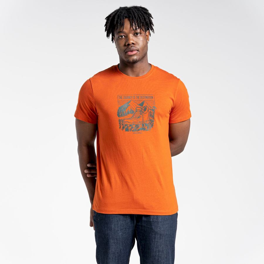 Orange Craghoppers Lugo Short Sleeved Men's T-Shirts | CZV7455VI