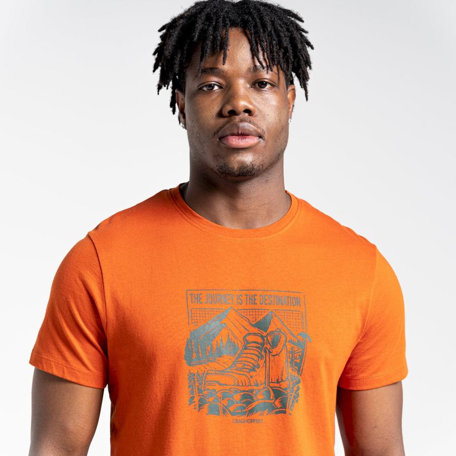 Orange Craghoppers Lugo Short Sleeved Men's T-Shirts | CZV7455VI