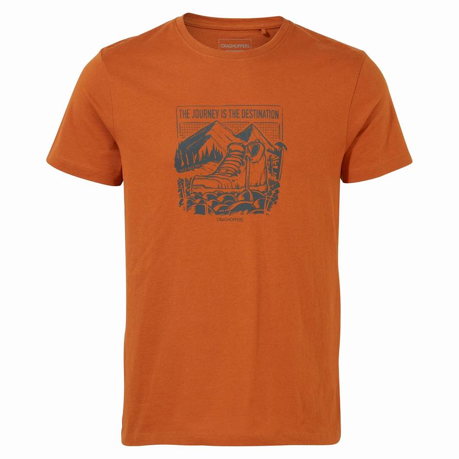 Orange Craghoppers Lugo Short Sleeved Men's T-Shirts | CZV7455VI