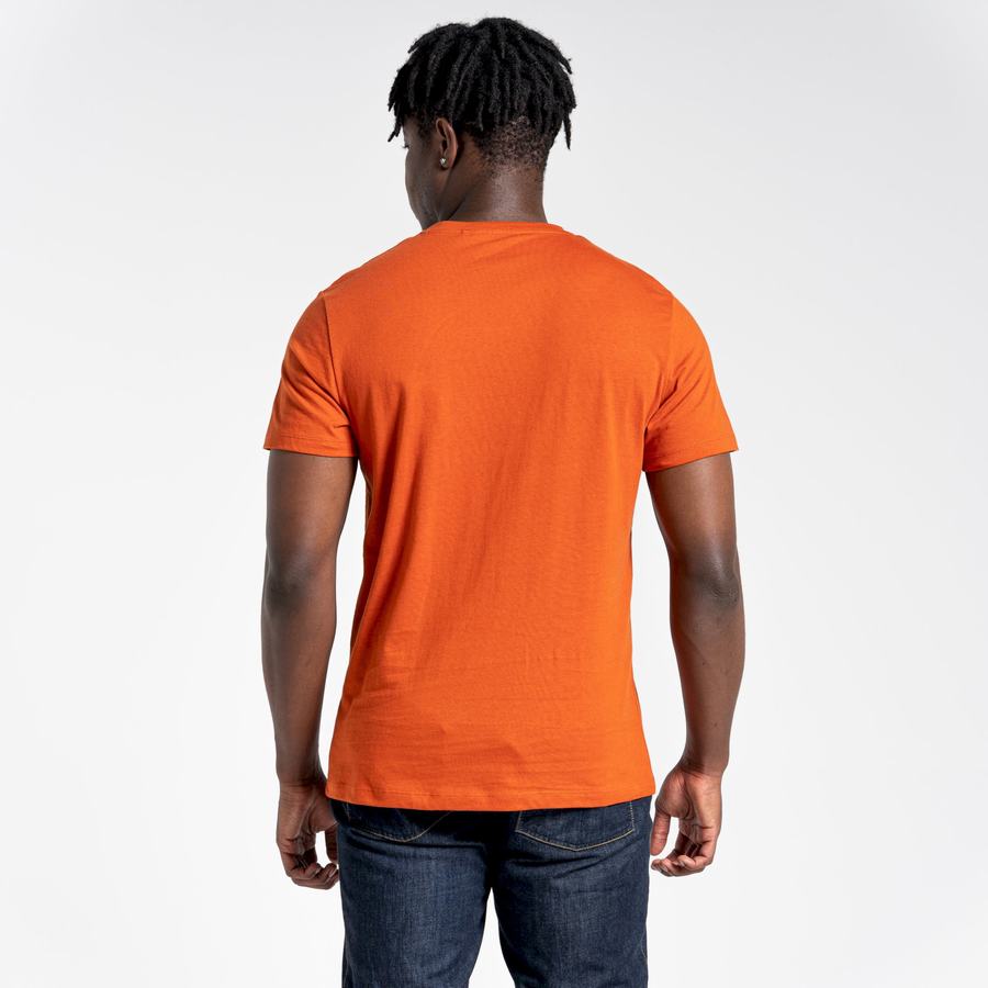 Orange Craghoppers Lugo Short Sleeved Men's T-Shirts | CZV7455VI