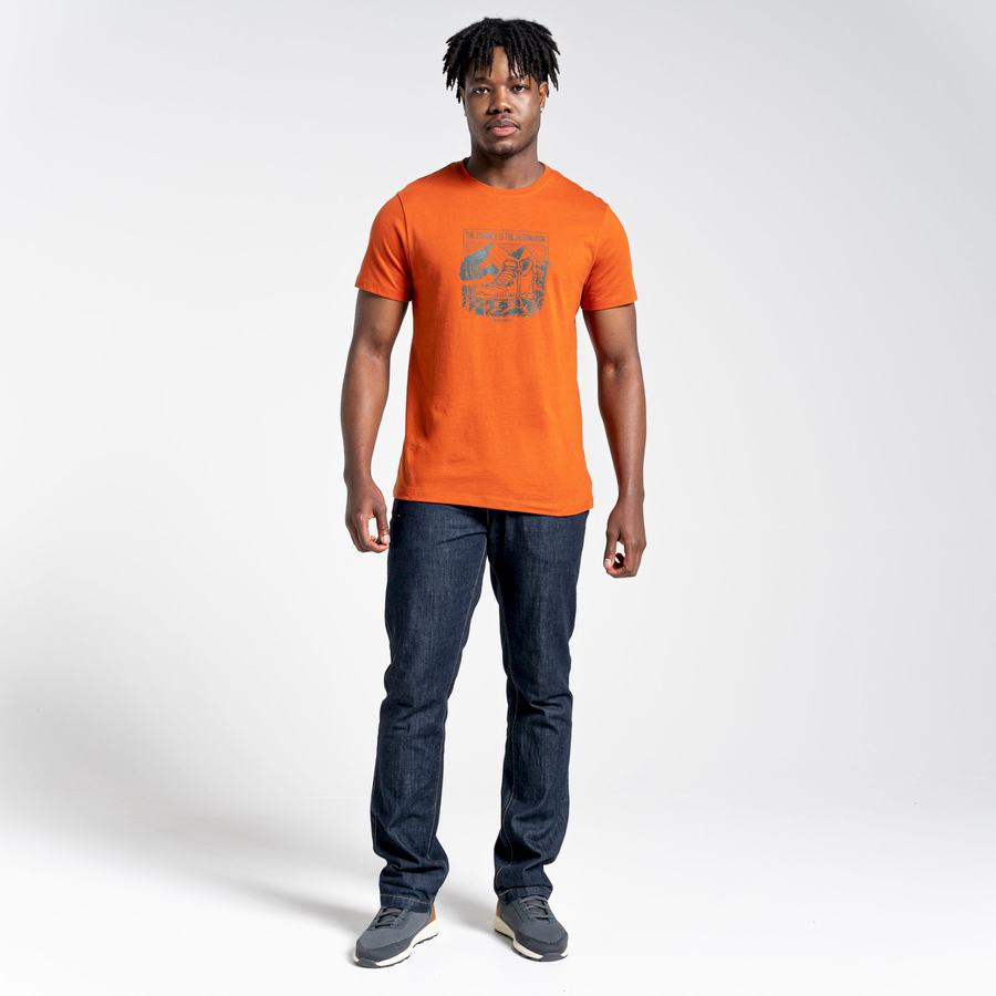 Orange Craghoppers Lugo Short Sleeved Men's T-Shirts | CZV7455VI