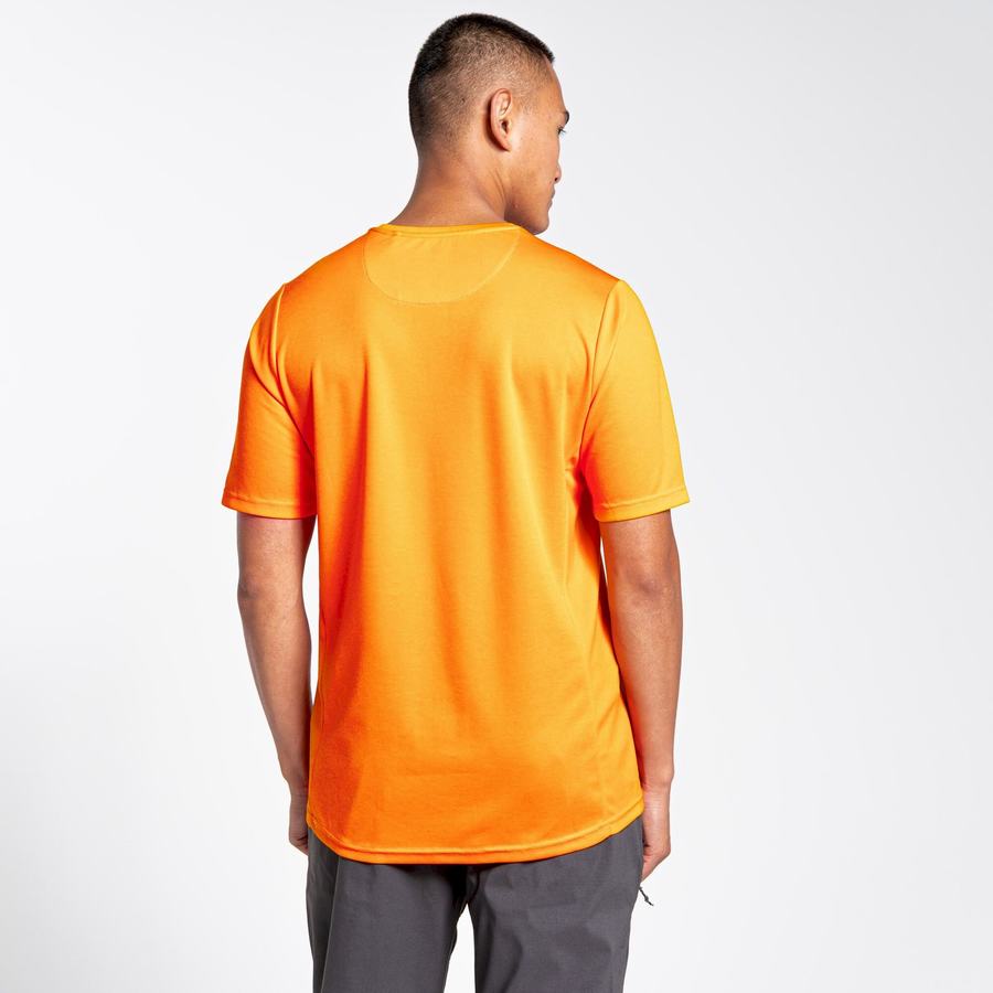 Orange Craghoppers NosiLife Pro Active Short Sleeved Men's T-Shirts | NMQ23100CI