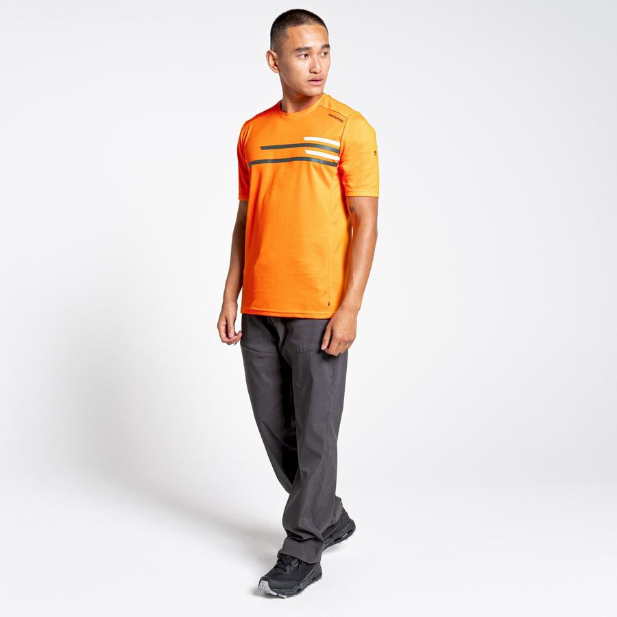 Orange Craghoppers NosiLife Pro Active Short Sleeved Men's T-Shirts | NMQ23100CI