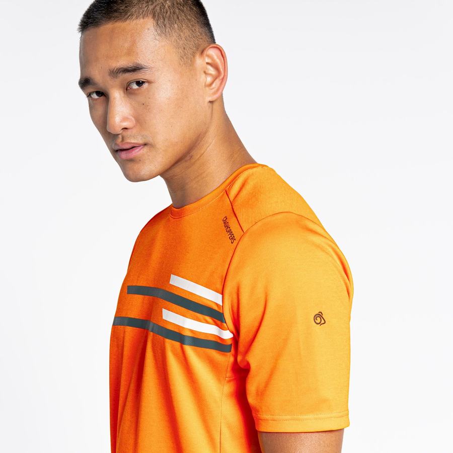 Orange Craghoppers NosiLife Pro Active Short Sleeved Men's T-Shirts | NMQ23100CI