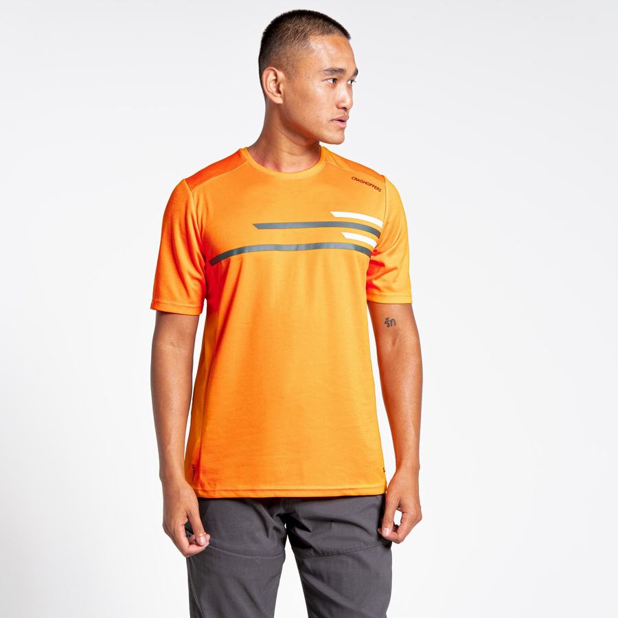 Orange Craghoppers NosiLife Pro Active Short Sleeved Men's T-Shirts | NMQ23100CI