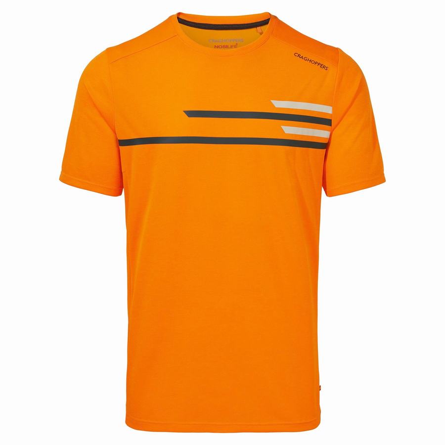 Orange Craghoppers NosiLife Pro Active Short Sleeved Men\'s T-Shirts | NMQ23100CI