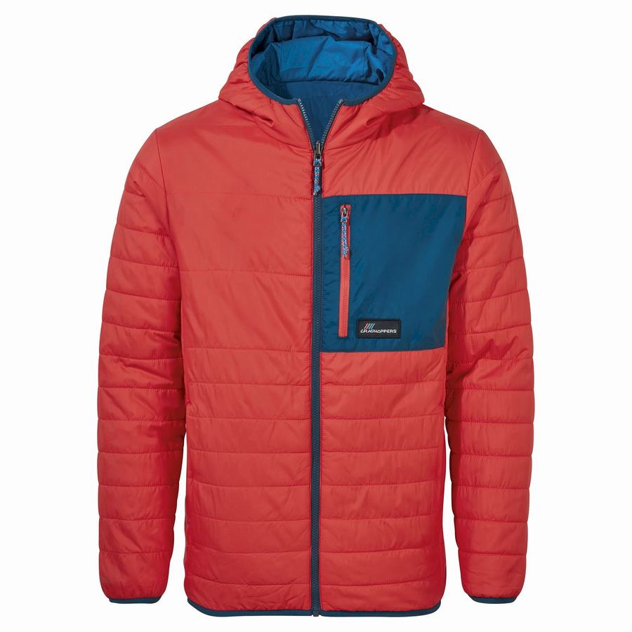 Orange Red Craghoppers Cameo CompressLite Hooded Men\'s Jackets | UPE604BY