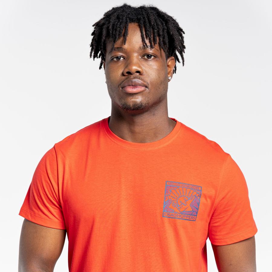 Orange Red Craghoppers Lugo Short Sleeved Men's T-Shirts | CRF98ML