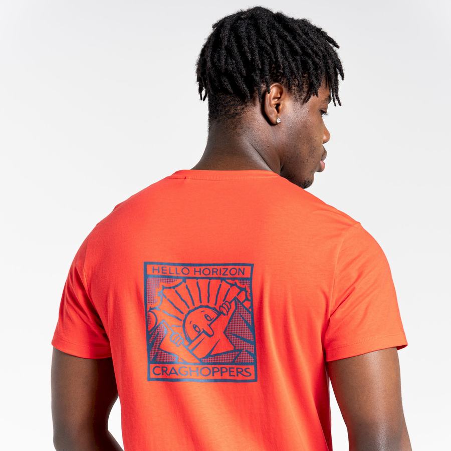 Orange Red Craghoppers Lugo Short Sleeved Men's T-Shirts | CRF98ML