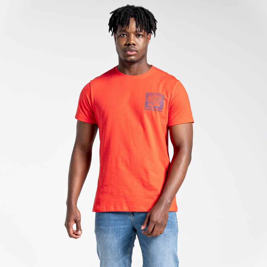 Orange Red Craghoppers Lugo Short Sleeved Men's T-Shirts | CRF98ML