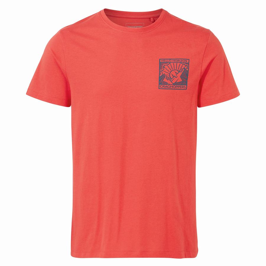 Orange Red Craghoppers Lugo Short Sleeved Men\'s T-Shirts | CRF98ML