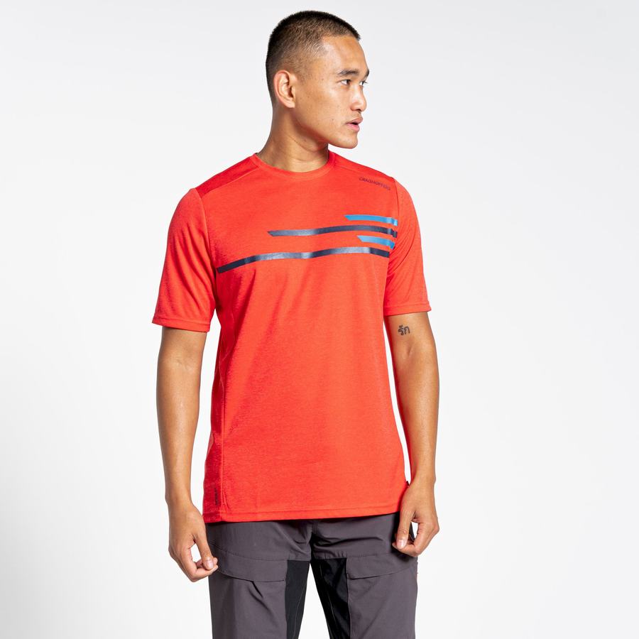 Orange Red Craghoppers NosiLife Pro Active Short Sleeved Men's T-Shirts | DGO342OF