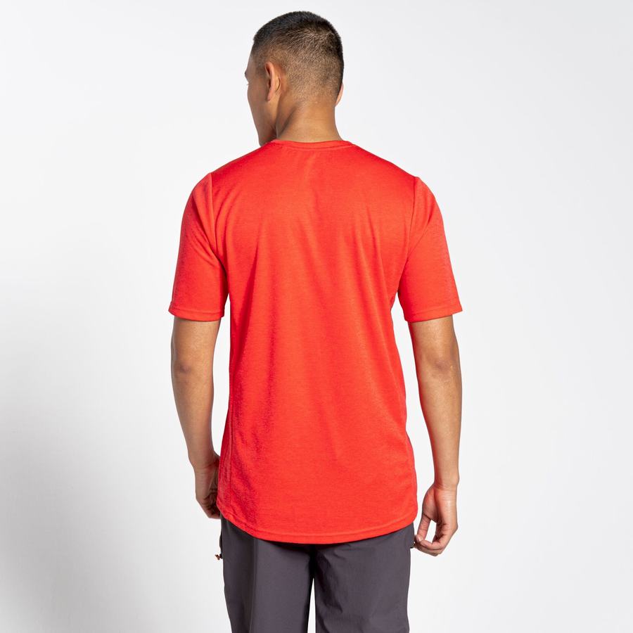 Orange Red Craghoppers NosiLife Pro Active Short Sleeved Men's T-Shirts | DGO342OF