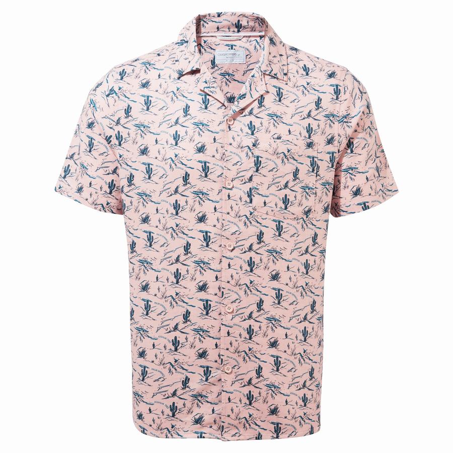 Pink Craghoppers Nosibotanical Hula Short Sleeved Men's Shirts | ETL2759CD