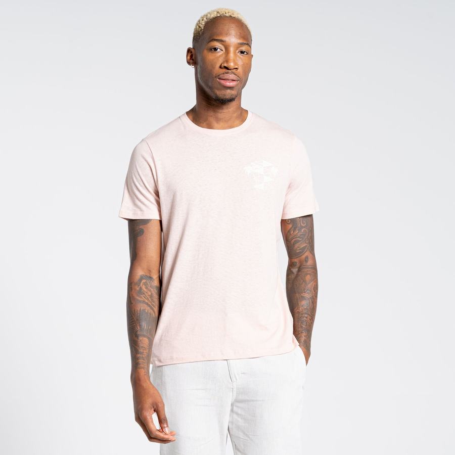 Pink Craghoppers Nosibotanical Sten Short Sleeved Men's T-Shirts | CKI3526TO