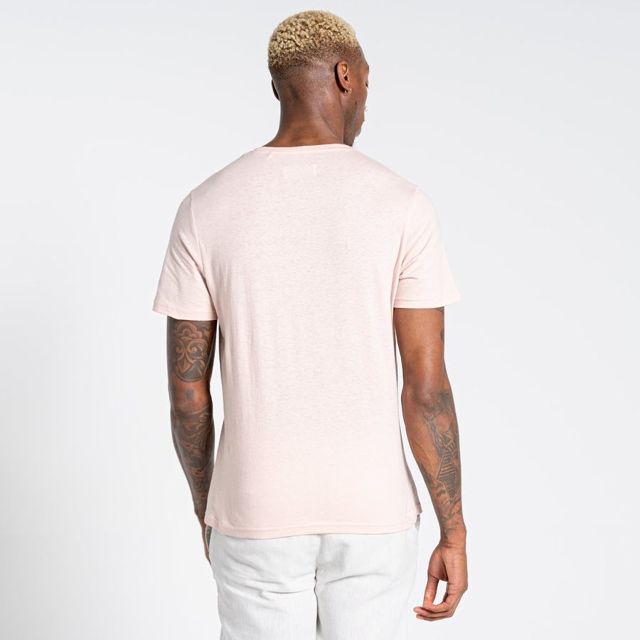 Pink Craghoppers Nosibotanical Sten Short Sleeved Men's T-Shirts | CKI3526TO