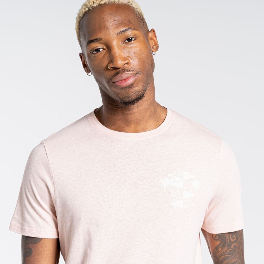 Pink Craghoppers Nosibotanical Sten Short Sleeved Men's T-Shirts | CKI3526TO