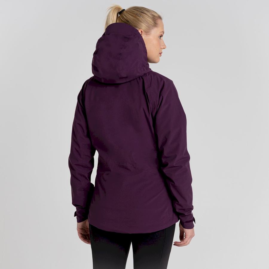 Purple Craghoppers Anza Women's Jackets | SEP8453GA