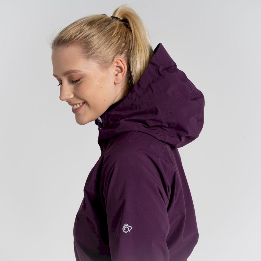 Purple Craghoppers Anza Women's Jackets | SEP8453GA