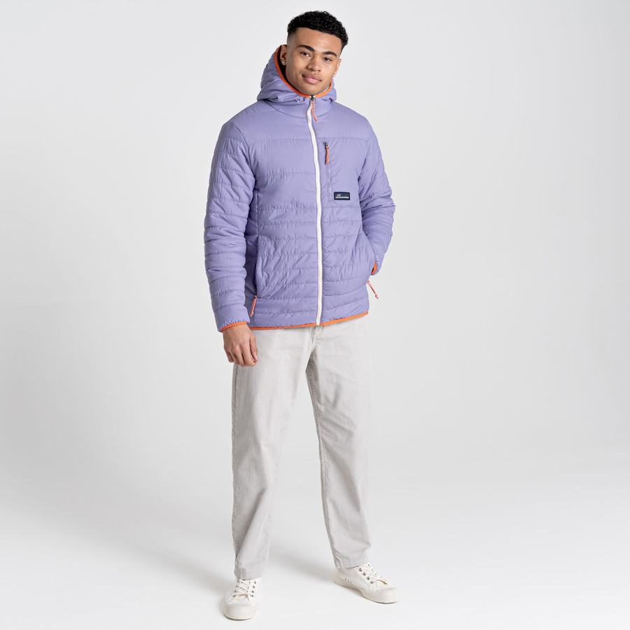 Purple Craghoppers Cameo CompressLite Hooded Men's Jackets | MOB333VH